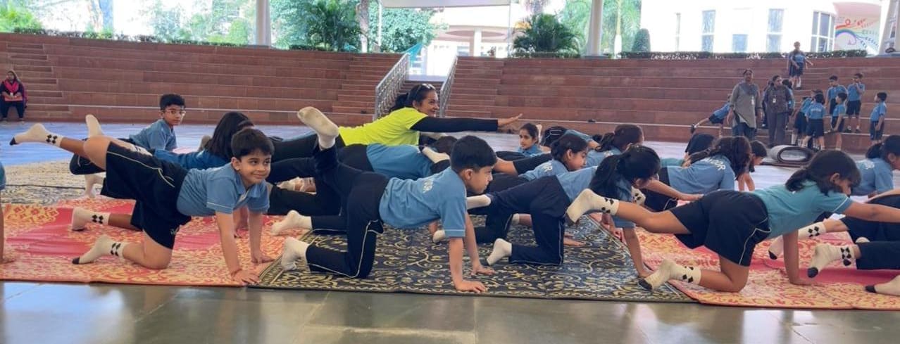 Yoga Safari – Grade 2